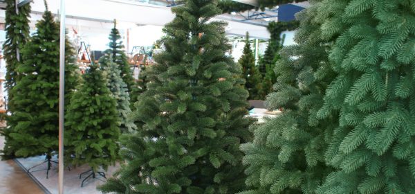 Christmas trees in shopping center